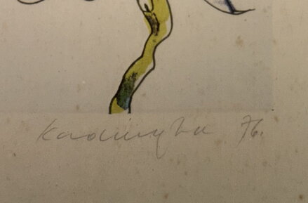 ORCHIDEJ - SIGNOVÁN