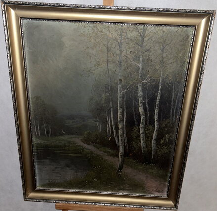 STEZKA PODÉL TICHÉHO JEZERA - ŠTĚDRÁ J.