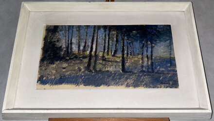 ZAŠUMĚNÍ LESA - SIGNOVÁN