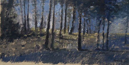 ZAŠUMĚNÍ LESA - SIGNOVÁN