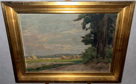 SNOPY U LESNÍ CESTY - WALTER RUDOLF