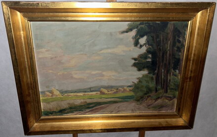 SNOPY U LESNÍ CESTY - WALTER RUDOLF