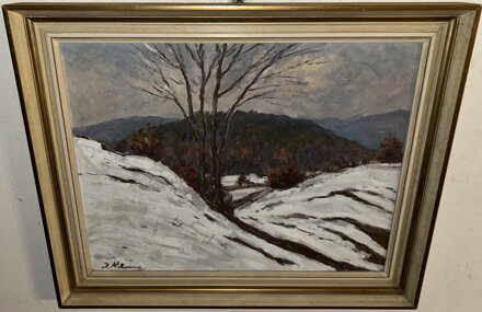 ZIMNÍ KRAJINA - KELUC CALUTIN JAROSLAV