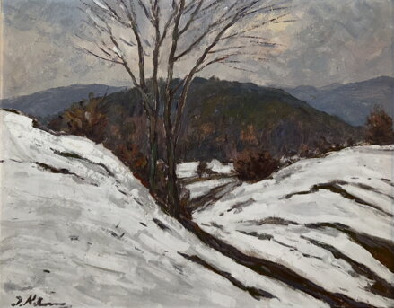 ZIMNÍ KRAJINA - KELUC CALUTIN JAROSLAV