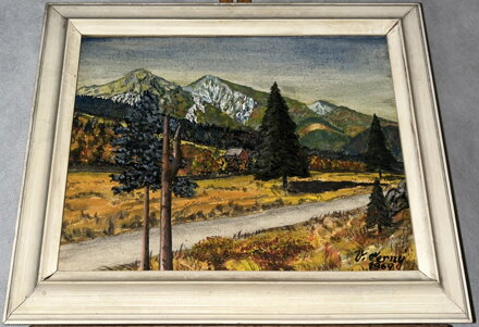 POHLED NA TATRY - ČERNÝ V.