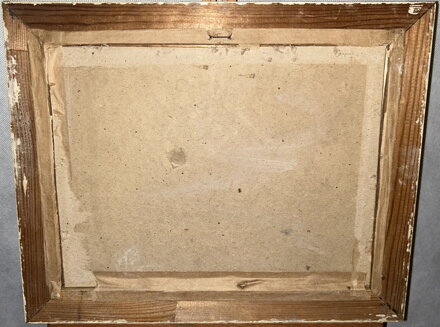 POHLED NA TATRY - ČERNÝ V.