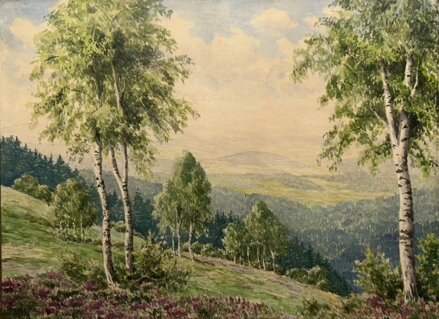 VÝHLED DO ÚDOLÍ - HAVLENA Č. 