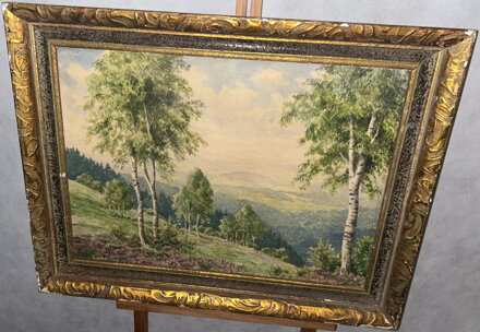 VÝHLED DO ÚDOLÍ - HAVLENA Č. 