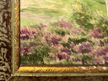 VÝHLED DO ÚDOLÍ - HAVLENA Č. 