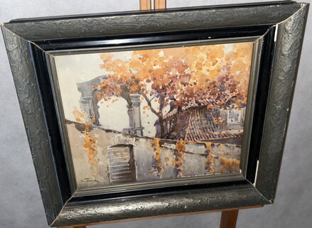 MAJESTÁTNÍ VCHOD DO DOMKU - TOMSA KAREL