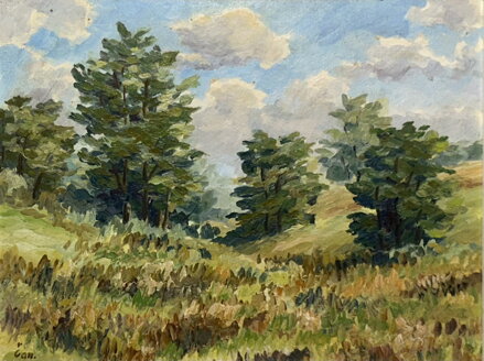 STROMY VE SVAHU - SIGNOVÁN