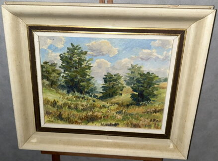 STROMY VE SVAHU - SIGNOVÁN