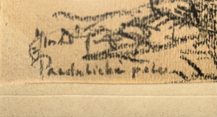 PARDUBICKÉ POLE - SIGNOVÁN