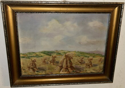 SNOPY NA POLI - NEZNÁMÝ AUTOR