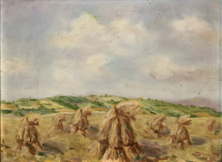 SNOPY NA POLI - NEZNÁMÝ AUTOR