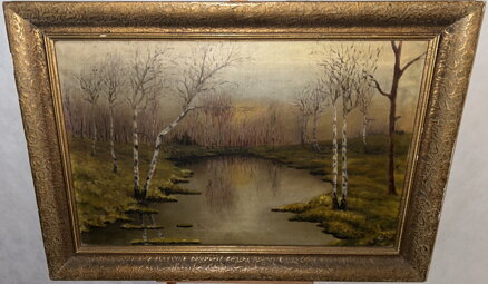 BŘÍZY U VODY - BALNER K.