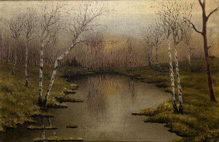 BŘÍZY U VODY - BALNER K.