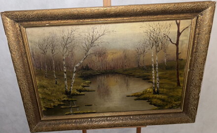 BŘÍZY U VODY - BALNER K.