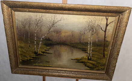 BŘÍZY U VODY - BALNER K.