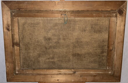 BŘÍZY U VODY - BALNER K.