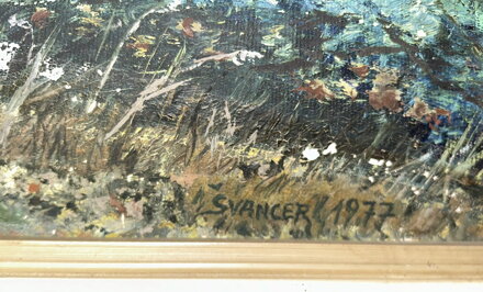 HORSKÁ CESTA V PODVEČER - ŠVANCER