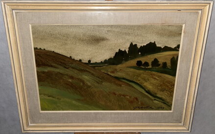 POD BOROVINKOU - BLAŽEK JAN