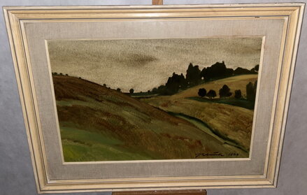 POD BOROVINKOU - BLAŽEK JAN