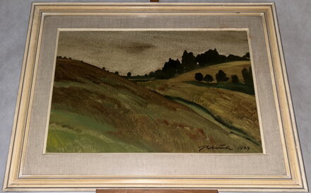 POD BOROVINKOU - BLAŽEK JAN