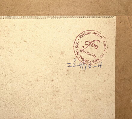 POD BOROVINKOU - BLAŽEK JAN