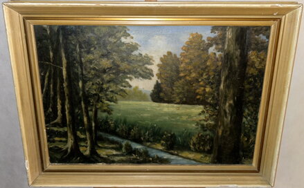 POTOK V LESNÍ KRAJINĚ - SIGNOVÁN