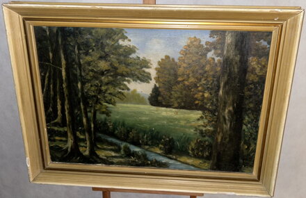 POTOK V LESNÍ KRAJINĚ - SIGNOVÁN