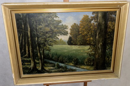 POTOK V LESNÍ KRAJINĚ - SIGNOVÁN