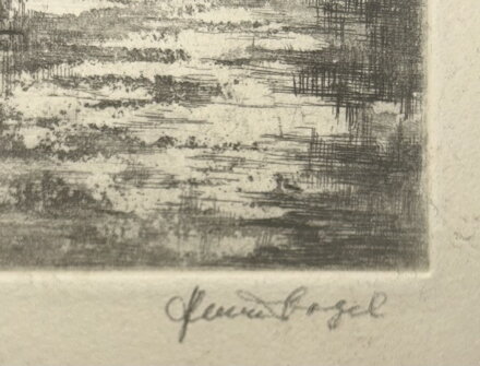 PANSTVÍ U ŘEKY - VOGEL HEINZ