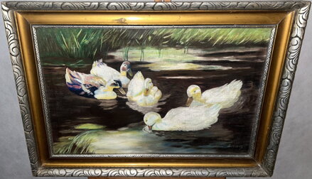 KACHNY NA RYBNÍČKU - ŠLACHTA