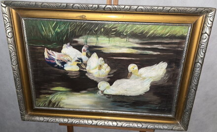 KACHNY NA RYBNÍČKU - ŠLACHTA