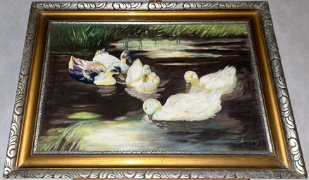 KACHNY NA RYBNÍČKU - ŠLACHTA