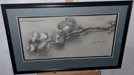 TULIPÁNY - DRHA JOSEF GRUBER