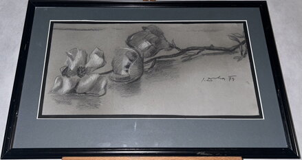 TULIPÁNY - DRHA JOSEF GRUBER