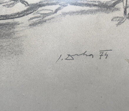 TULIPÁNY - DRHA JOSEF GRUBER