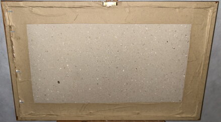 TULIPÁNY - DRHA JOSEF GRUBER