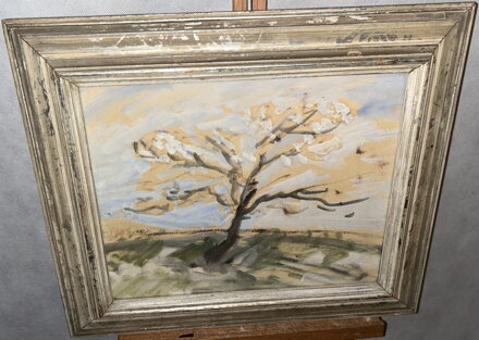 KVETOUCÍ STROM - NEZNÁMÝ AUTOR