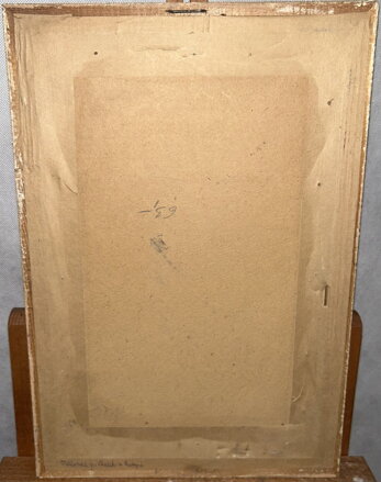 VLČÍ MÁKY A LUČNÍ KVÍTÍ - CHRTEK