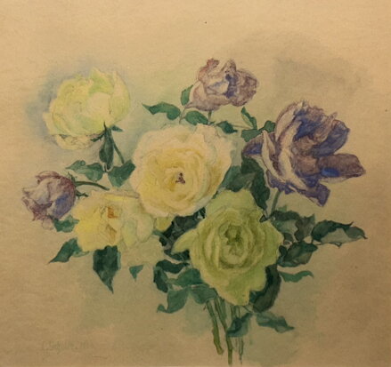 ŽLUTÉ A MODRÉ RŮŽE - SIGNOVÁN