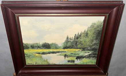 MEANDRUJÍCÍ ŘÍČKA V LESE - KLETEČKA