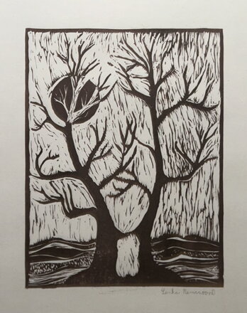 STROMY V NOCI - NEMCAVOVÁ LENKA