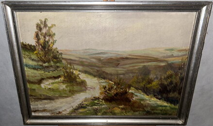 CESTA V KOPCOVITÉ KRAJINĚ - STEIN VÁCLAV