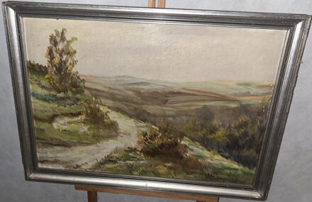 CESTA V KOPCOVITÉ KRAJINĚ - STEIN VÁCLAV