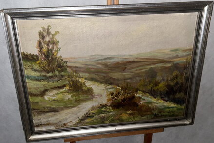 CESTA V KOPCOVITÉ KRAJINĚ - STEIN VÁCLAV