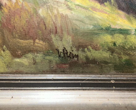 CESTA V KOPCOVITÉ KRAJINĚ - STEIN VÁCLAV