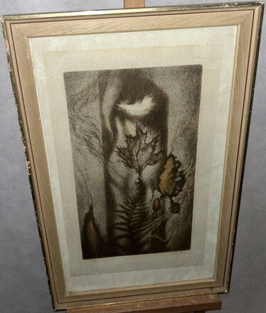 LABUTÍ PÍRKO - HALLA JAN